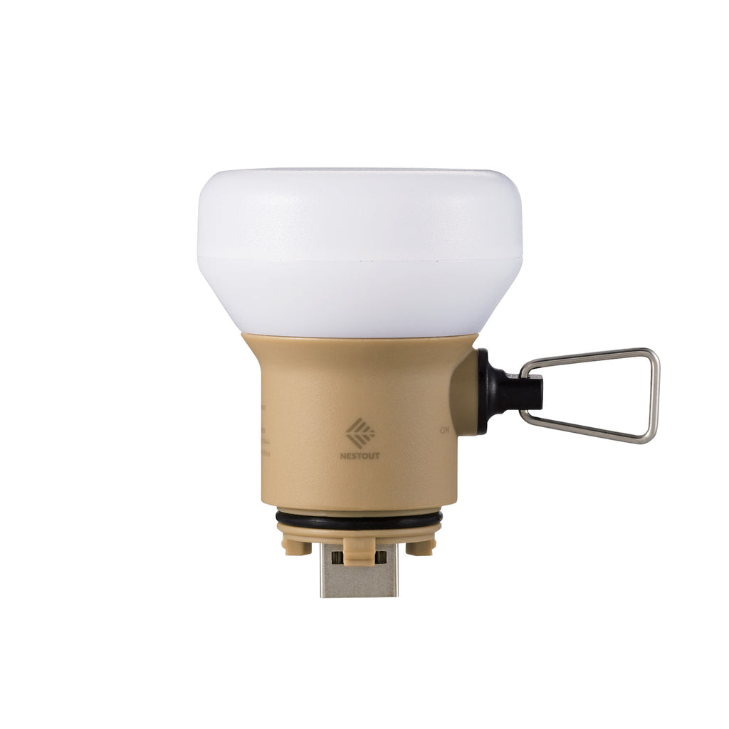 LAMP-1