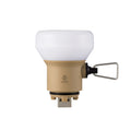 LAMP-1