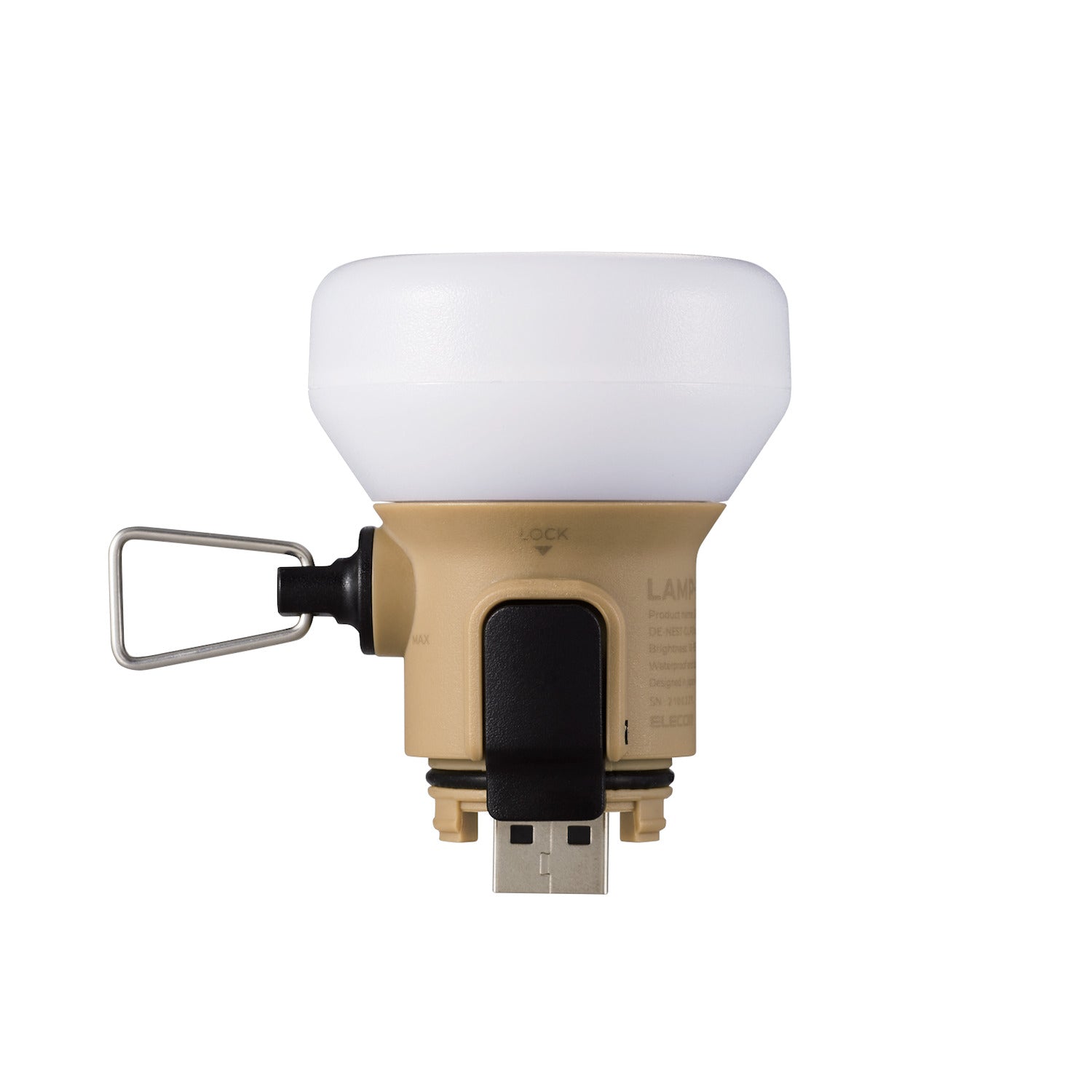 LAMP-1