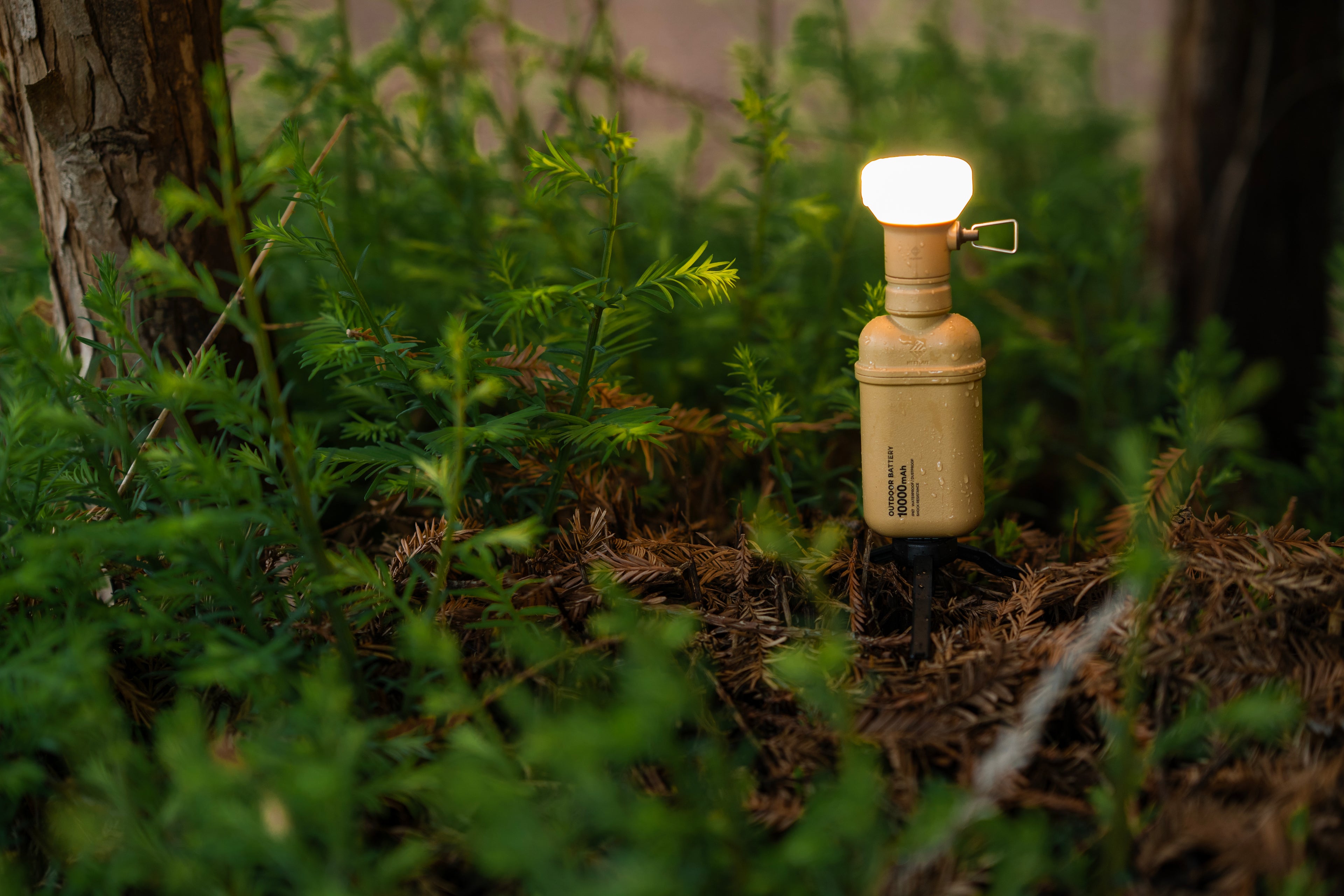 LAMP-1